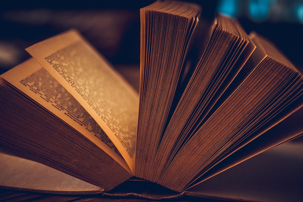 Lire, une passion solitaire ? Pas tant que ça !