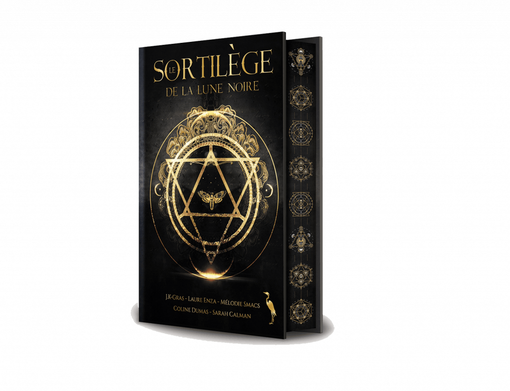 livre sorcière - Le sortilège de la lune noire